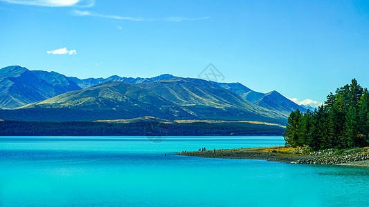 新西兰自驾牛奶湖风光背景图片