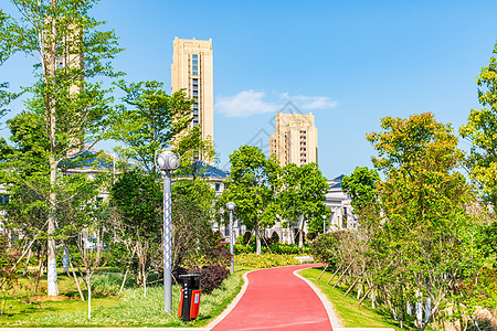 小区小道散步步道背景图片