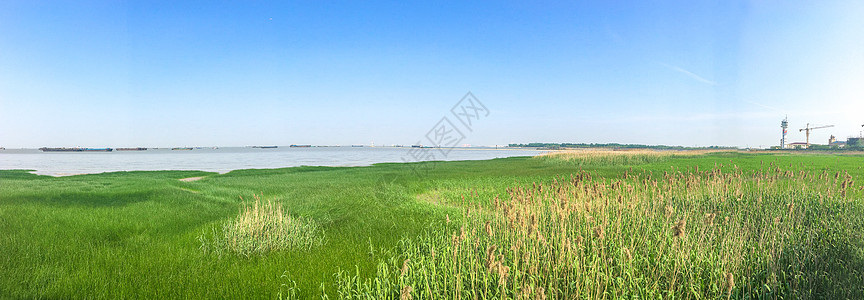 上海炮台湾湿地全景高清图片
