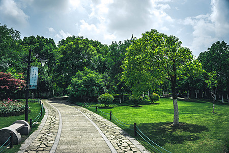 杭州桃花岛公园小路图片