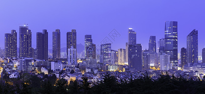 青岛植物园俯瞰城市夜景背景图片