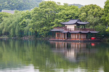 曲院风荷杭州西湖春色背景