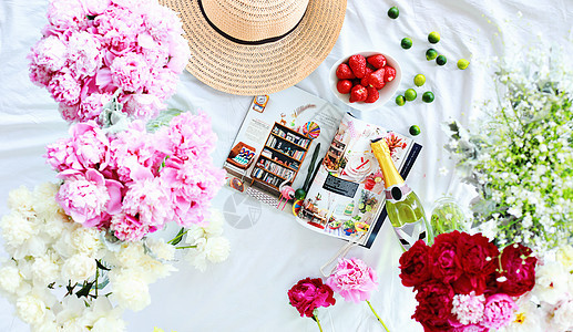 悠闲的夏日放在野餐布上草莓青桔杂志鲜花香槟酒图片