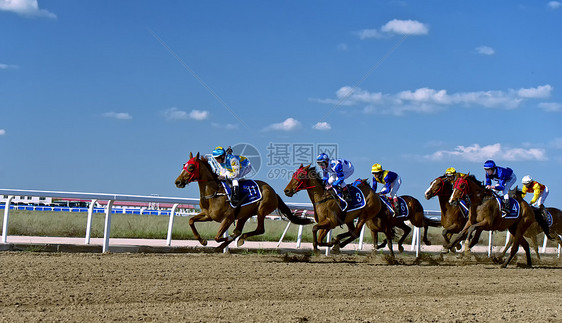 内蒙古国际速度赛马 图片