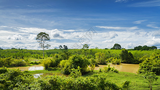 热带湿地自然风光图片