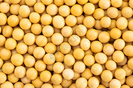 一盘黄豆背景