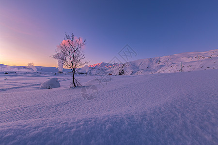 冰岛红鱼冰岛雪地日出自然美景背景