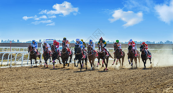 内蒙古国际速度赛马背景图片