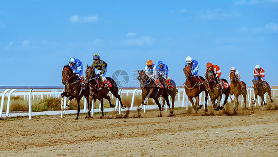 内蒙古国际速度赛马图片