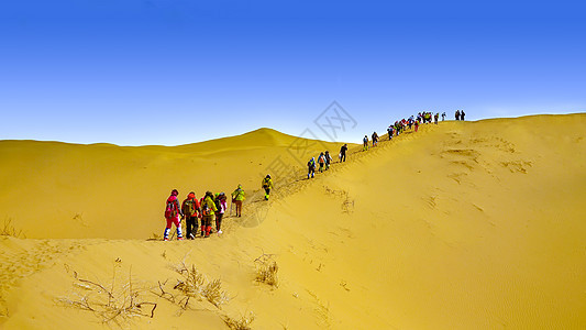 内蒙古库布其沙漠旅游团队图片
