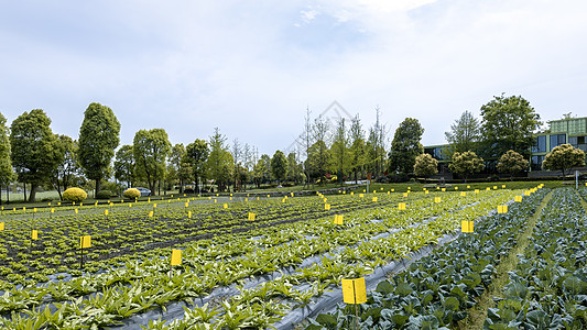 绿色科技科技农业培育背景