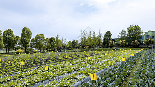 智慧科技科技农业培育背景