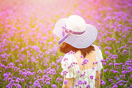 戴着太阳帽美女漫步薰衣草园的美女背影背景