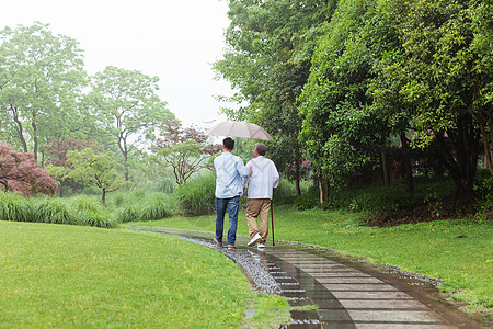 中老年父子撑伞下雨天逛公园图片