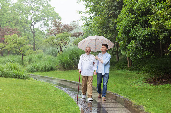 中老年父子撑伞下雨天逛公园图片