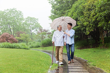 中老年父子撑伞下雨天逛公园图片