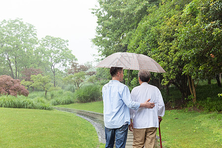 中老年父子撑伞下雨天逛公园图片