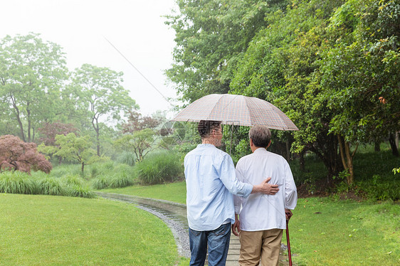 中老年父子撑伞下雨天逛公园图片