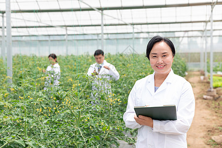 农业培育科学家观察植物图片