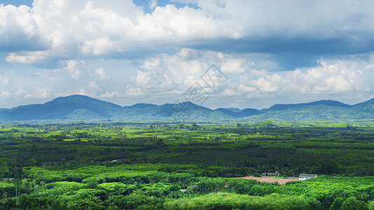 泰国南部热带雨林全景图片