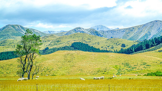 新西兰自驾风光高山下的牧场图片