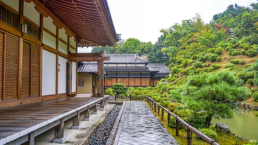 雨中的日式庭院图片