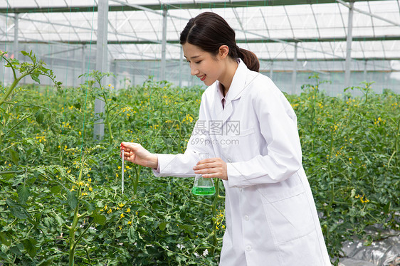 使用药剂做科学研究的农业培育科学家图片