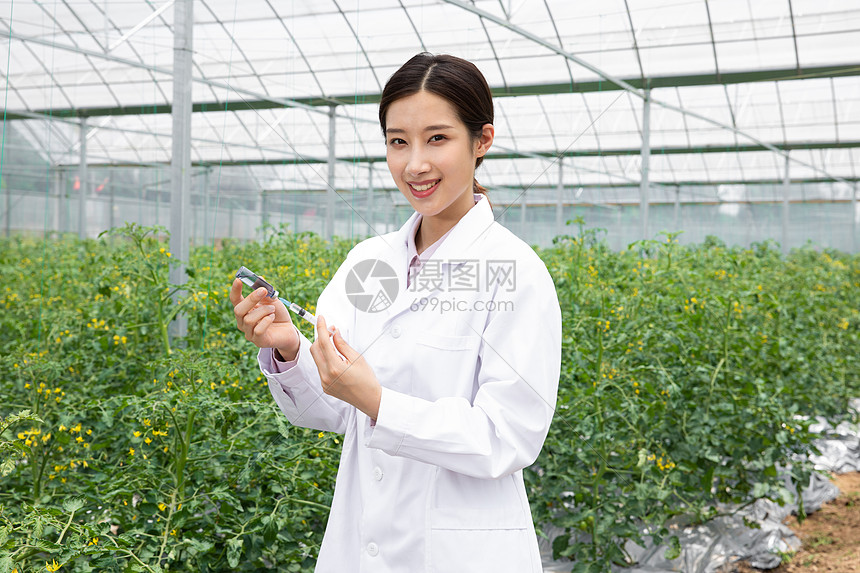 农业培育科学家给植物注射药剂图片