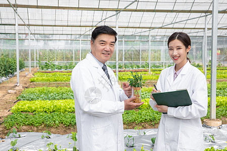 大棚内手捧植物幼苗的农业培育科学家图片