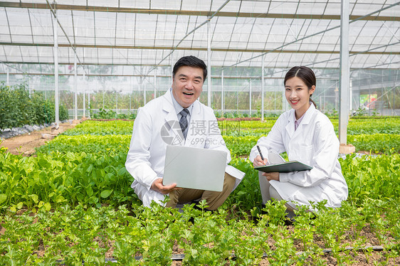 蔬菜大棚内科研探讨的农业培育科学家图片