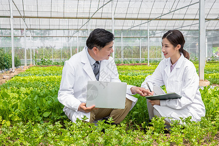 蔬菜大棚内科研探讨的农业培育科学家图片