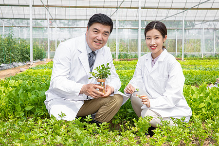 大棚内手捧植物幼苗的农业培育科学家图片