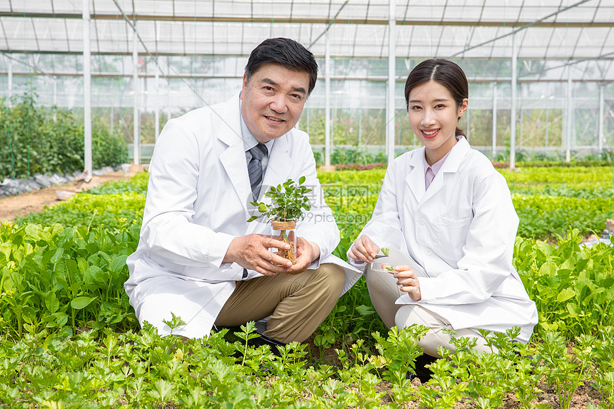 大棚内手捧植物幼苗的农业培育科学家图片