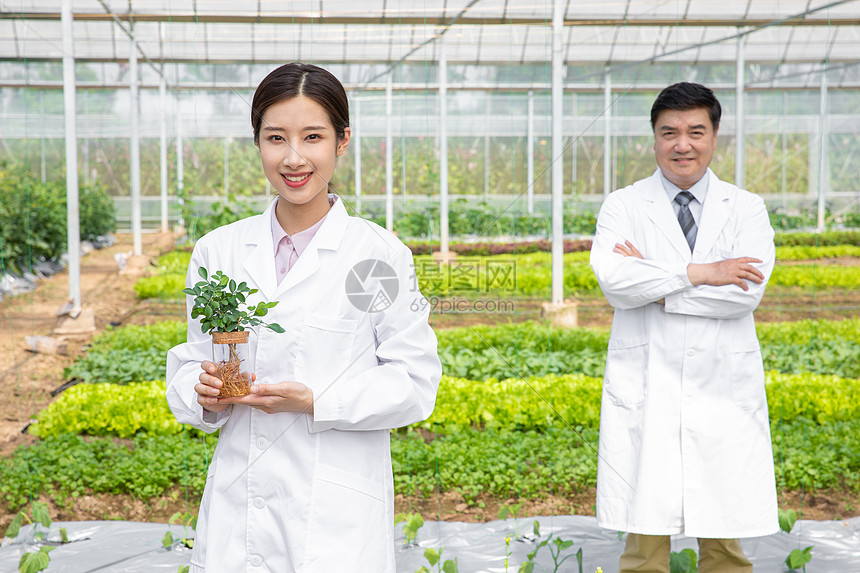 大棚内手捧植物幼苗的农业培育科学家图片