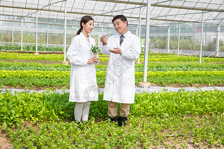 手捧植物的农业科研人员高清图片