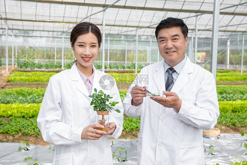 大棚内手捧植物幼苗的农业培育科学家图片