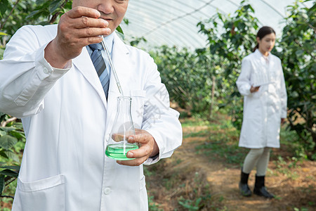 在大棚内做科学研究的农业培育科学家图片