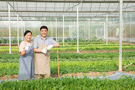 蔬菜大棚里的农业夫妇点赞图片