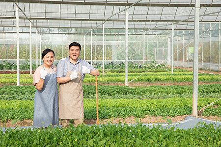 蔬菜大棚里的农业夫妇加油手势图片