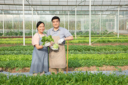 蔬菜大棚内手捧蔬菜的农民夫妇图片