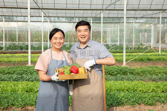 蔬菜大棚内手捧水果的农民夫妇图片