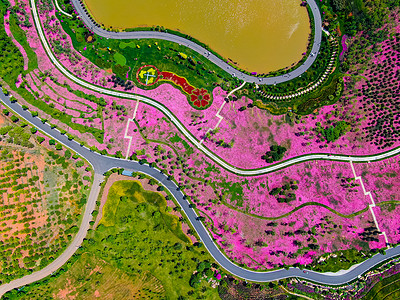 云南弥勒太平湖森林公园航拍背景图片