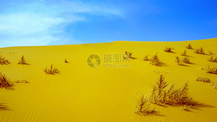内蒙古响沙湾沙漠景观图片