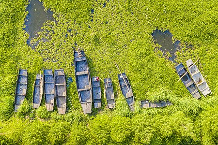 绿藻夏天苏州太湖航拍渔船背景