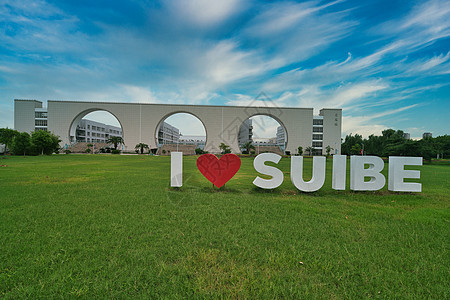 上海对外经贸大学大草坪背景图片