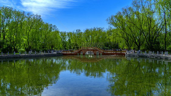 呼和浩特南湖湿地景观图片