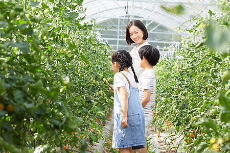 小男孩和小女孩用放大镜观察蔬菜背影图片