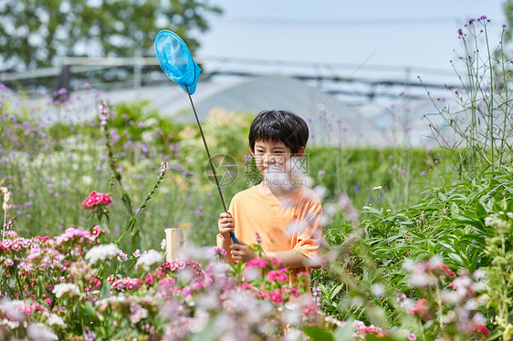 小男孩花园里捉蝴蝶图片