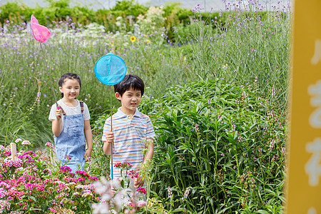 儿童在花丛中捕捉蝴蝶图片