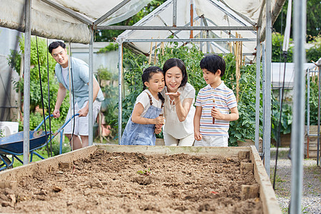 一家四口在菜园研究种子图片